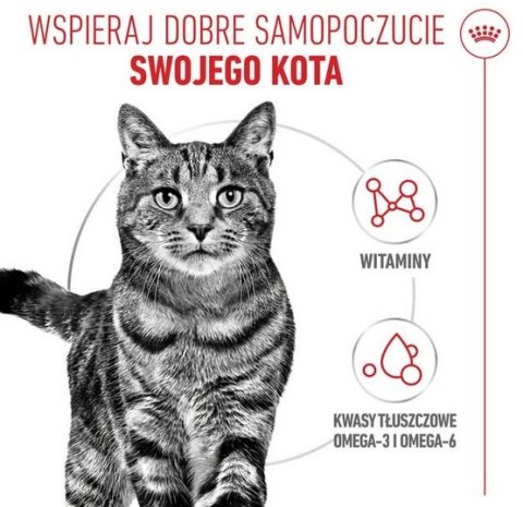 Royal Canin Hair & Skin Care w sosie karma mokra dla kotów dorosłych, zdrowa skóra, piękna sierść saszetka 85g