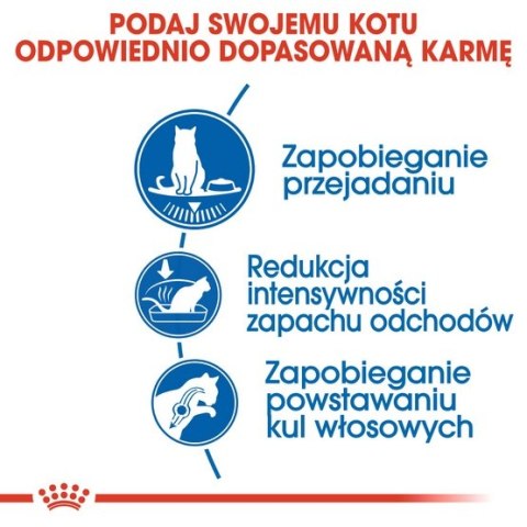 Royal Canin Indoor Appetite Control karma sucha dla kotów dorosłych przebywających w domu, domagających się jedzenia 400g