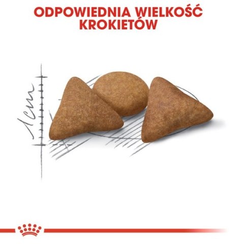 Royal Canin Indoor Appetite Control karma sucha dla kotów dorosłych przebywających w domu, domagających się jedzenia 400g