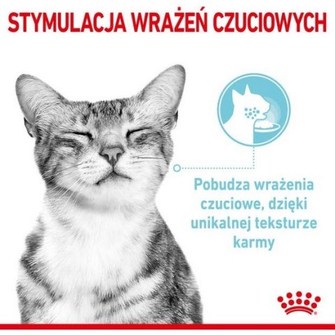 Royal Canin Sensory Feel w sosie karma mokra dla kotów dorosłych saszetka 85g