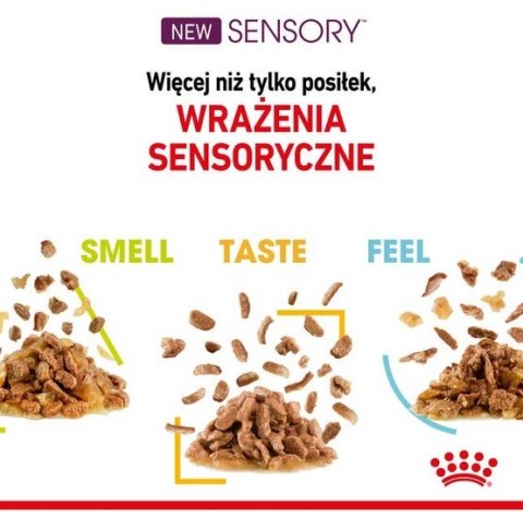 Royal Canin Sensory Feel w sosie karma mokra dla kotów dorosłych saszetka 85g