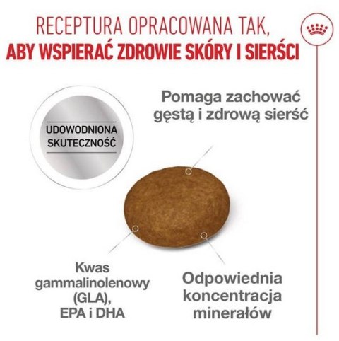 Royal Canin Hair&Skin Care karma sucha dla kotów dorosłych, lśniąca sierść i zdrowa skóra 2kg