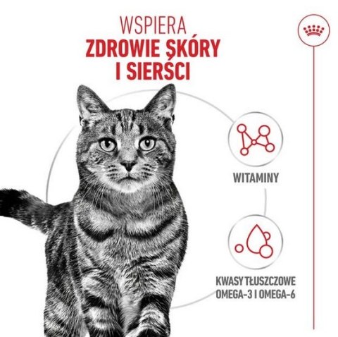 Royal Canin Hair&Skin Care karma sucha dla kotów dorosłych, lśniąca sierść i zdrowa skóra 2kg