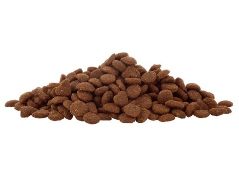 Lucky Lou Food Code Lifestage Adult Drób & Owady 340g