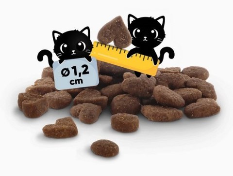 Lucky Lou Food Code Lifestage Adult Drób & Owady 340g