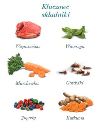 Amanova Dog Adult Iberian Pork - wieprzowina saszetka 100g [P04]