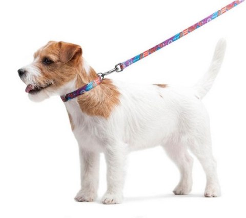 Collar WauDog Nylon Obroża nylonowa z QR-paszportem, plastikowy fastex, wzór LATO, 20mm/28-40cm