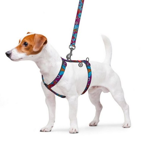 Collar WauDog Nylon Szelki nylonowe anatomiczne w kształcie litery H, z QR-paszportem, plastikowy fastex, wzór LATO, rozmiar M 2