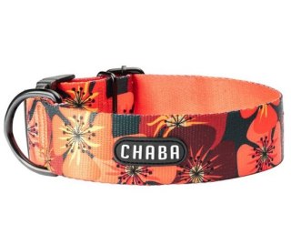 CHABA Obroża regulowana Bull Story IV L/XL Opium