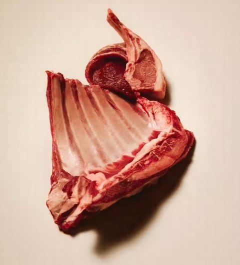 Carnilove Cat Active Lamb & Wild Boar Sterilised - jagnięcina i dzik 6kg