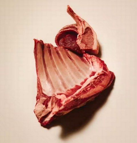 Carnilove Dog Active Lamb & Wild Boar Adult - jagnięcina i dzik 1,5kg