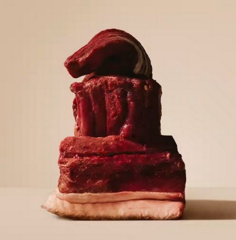 Carnilove Dog Active Venison & Reindeer Adult - dziczyzna i renifer 1,5kg