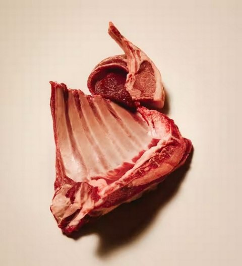 Carnilove Dog Jerky Lamb & Salmon - jagnięcina i łosoś 100g