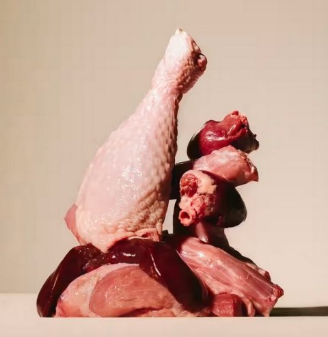 Carnilove Dog Turkey & Buffalo - indyk i bawół saszetka 300g