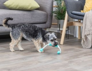 Trixie Gryzak Dentafun Rolka ze sznurkiem o zapachu mięty [TX-33771]