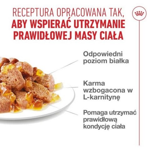 Royal Canin Light Weight Care w galaretce karma mokra dla kotów dorosłych, z tendencją do nadwagi saszetka 85g