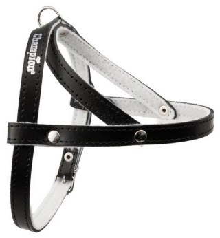 Champion Szelki 40 czarne [SD]