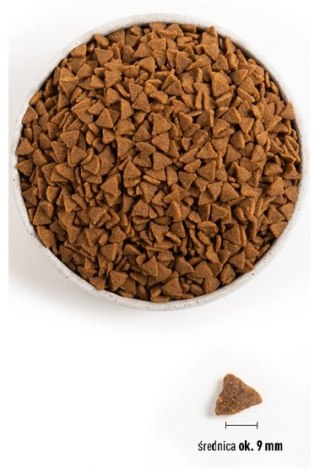 Acana Bountiful Catch Cat & Kitten 1,8kg