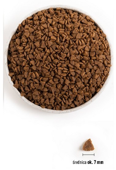 Acana First Feast Cat & Kitten 340g